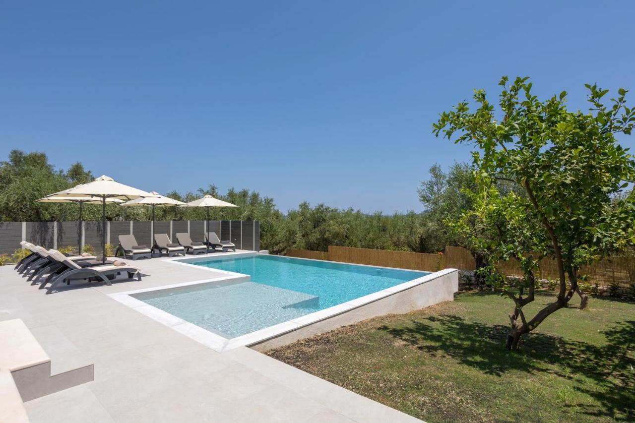 Villa Olivea Kalpaki  Esterno foto