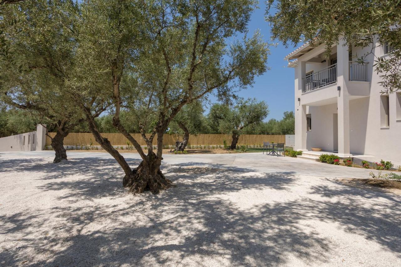Villa Olivea Kalpaki  Esterno foto